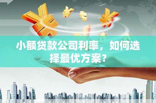 高邮小额贷款公司利率，如何选择最优方案？