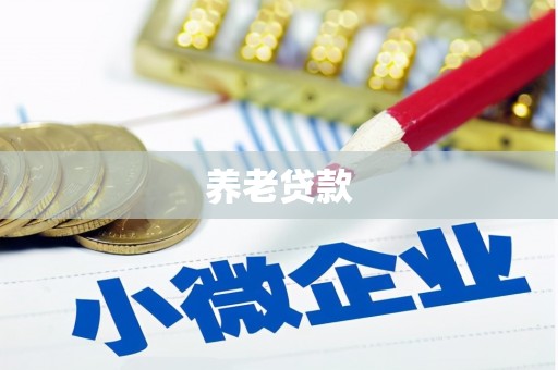 高邮养老贷款