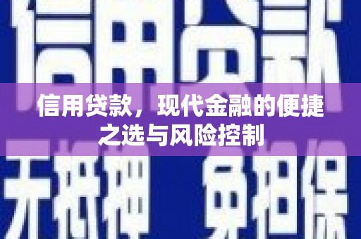 高邮信用贷款，现代金融的便捷之选与风险控制
