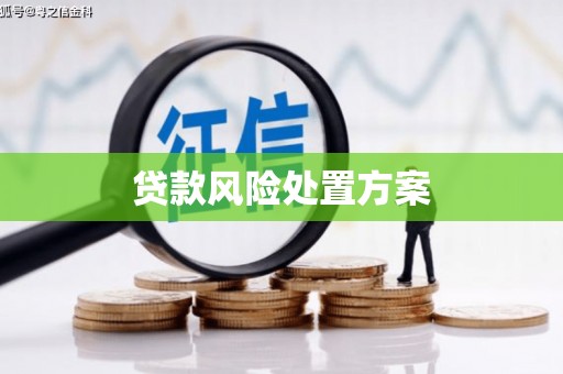 高邮贷款风险处置方案