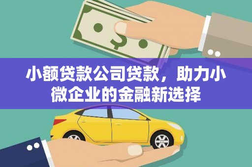 高邮小额贷款公司贷款，助力小微企业的金融新选择