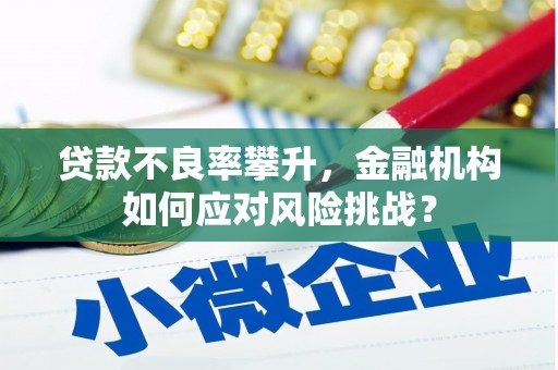 高邮贷款不良率攀升，金融机构如何应对风险挑战？