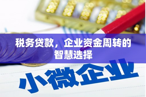高邮税务贷款，企业资金周转的智慧选择