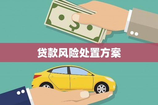 高邮贷款风险处置方案