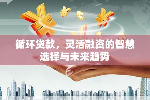 高邮循环贷款，灵活融资的智慧选择与未来趋势