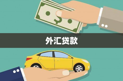 高邮外汇贷款