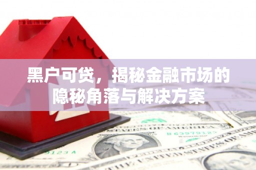 高邮黑户可贷，揭秘金融市场的隐秘角落与解决方案