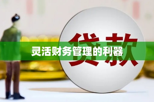 高邮灵活财务管理的利器