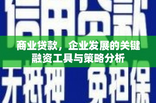 高邮商业贷款，企业发展的关键融资工具与策略分析