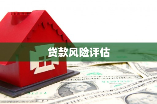高邮贷款风险评估