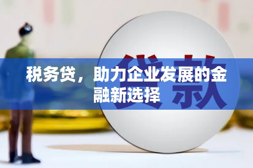 高邮税务贷，助力企业发展的金融新选择