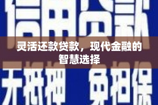 高邮灵活还款贷款，现代金融的智慧选择