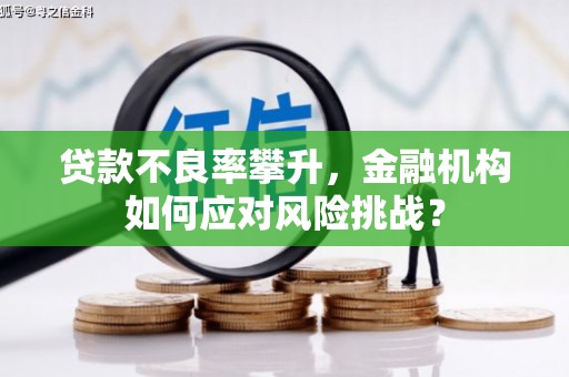 高邮贷款不良率攀升，金融机构如何应对风险挑战？