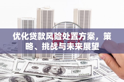 高邮优化贷款风险处置方案，策略、挑战与未来展望