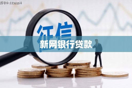 高邮新网银行贷款