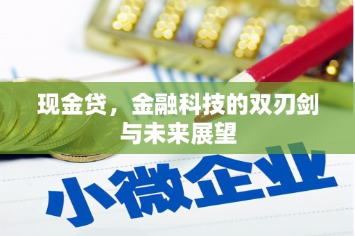 高邮现金贷，金融科技的双刃剑与未来展望