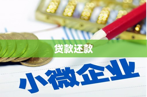 高邮贷款还款