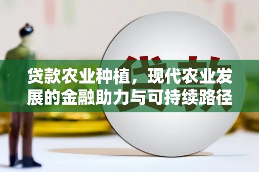 高邮贷款农业种植，现代农业发展的金融助力与可持续路径