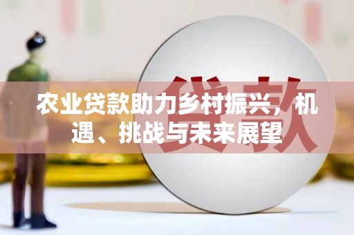 高邮农业贷款助力乡村振兴，机遇、挑战与未来展望