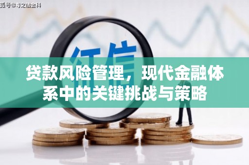 高邮贷款风险管理，现代金融体系中的关键挑战与策略
