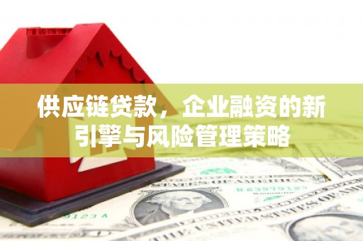 高邮供应链贷款，企业融资的新引擎与风险管理策略