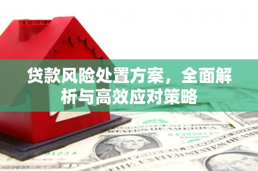 高邮贷款风险处置方案，全面解析与高效应对策略