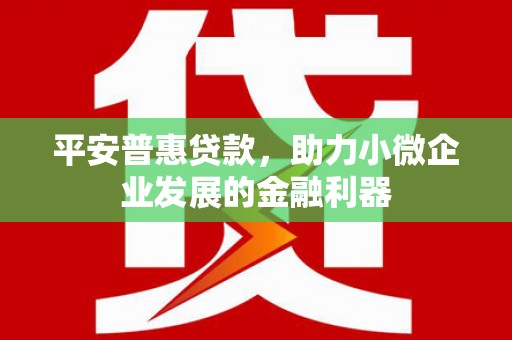 高邮平安普惠贷款，助力小微企业发展的金融利器