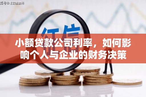 高邮小额贷款公司利率，如何影响个人与企业的财务决策