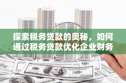 高邮探索税务贷款的奥秘，如何通过税务贷款优化企业财务