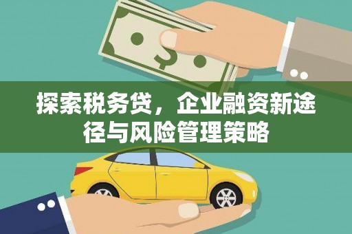 高邮探索税务贷，企业融资新途径与风险管理策略
