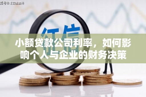 高邮小额贷款公司利率，如何影响个人与企业的财务决策