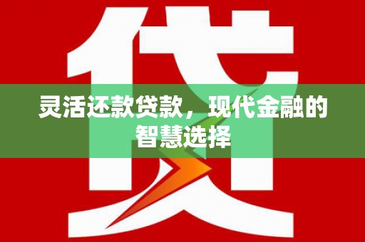 高邮灵活还款贷款，现代金融的智慧选择