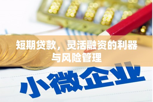 高邮短期贷款，灵活融资的利器与风险管理