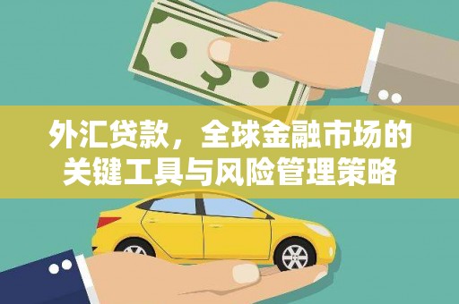 高邮外汇贷款，全球金融市场的关键工具与风险管理策略