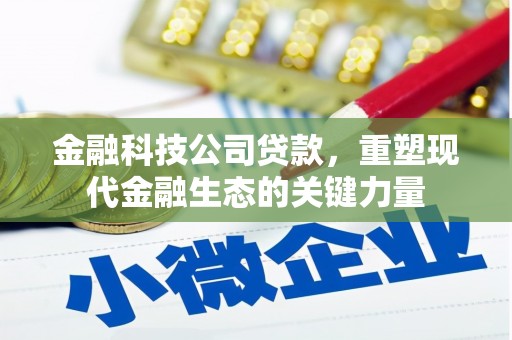 高邮金融科技公司贷款，重塑现代金融生态的关键力量