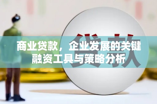 高邮商业贷款，企业发展的关键融资工具与策略分析