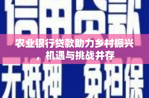 高邮农业银行贷款助力乡村振兴，机遇与挑战并存