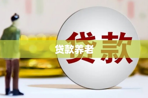 高邮贷款养老