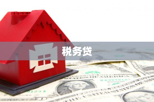 高邮税务贷