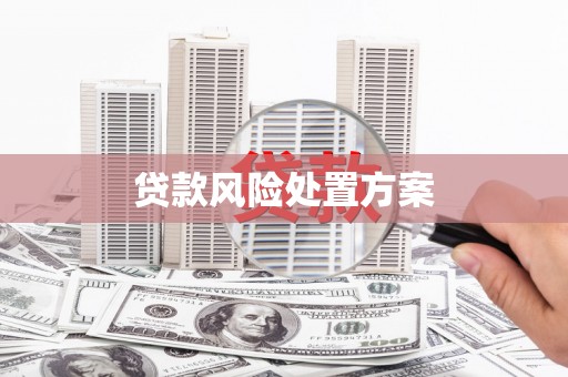高邮贷款风险处置方案