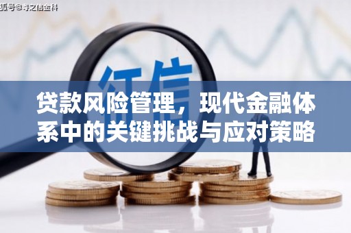高邮贷款风险管理，现代金融体系中的关键挑战与应对策略