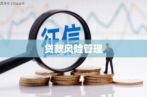 高邮贷款风险管理