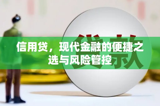 高邮信用贷，现代金融的便捷之选与风险管控