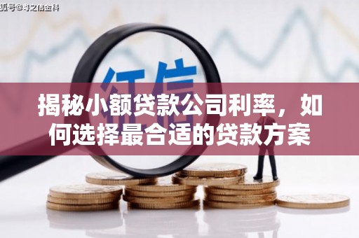 高邮揭秘小额贷款公司利率，如何选择最合适的贷款方案