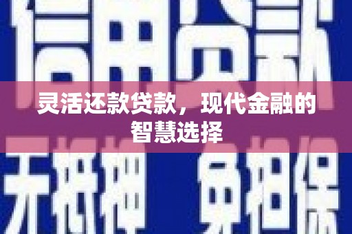 高邮灵活还款贷款，现代金融的智慧选择