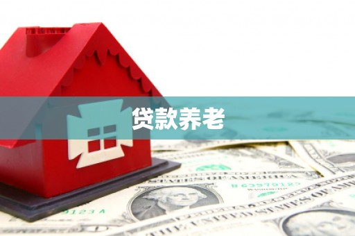 高邮贷款养老
