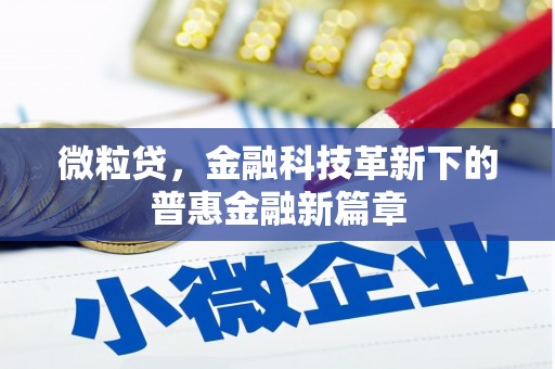 高邮微粒贷，金融科技革新下的普惠金融新篇章