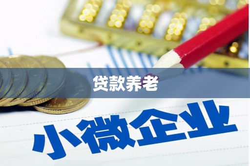 高邮贷款养老
