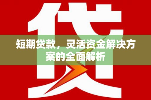 高邮短期贷款，灵活资金解决方案的全面解析