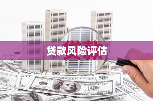 高邮贷款风险评估